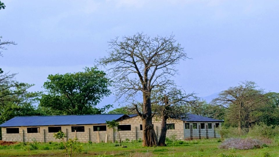 A wide view of Lua Farms