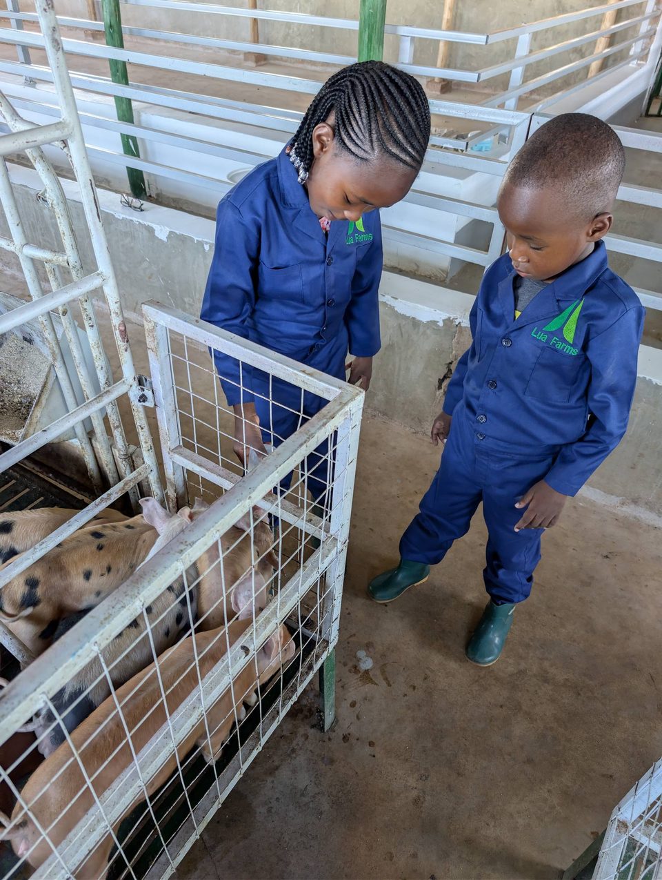 Children in Lua Farms overalls learning about piglets