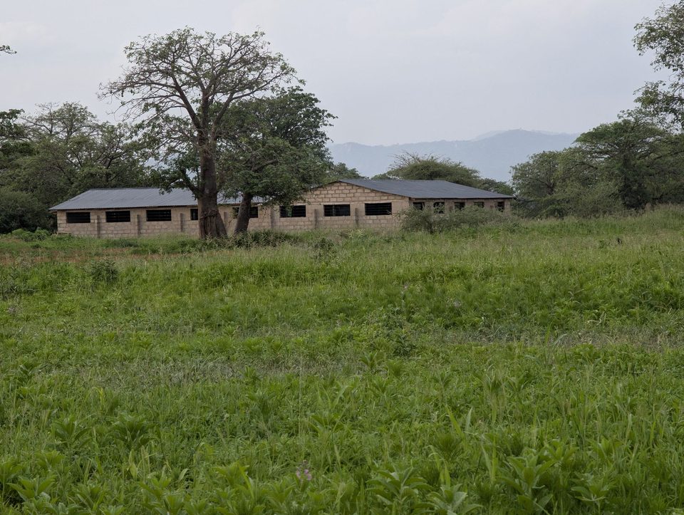 The road up to the Lua Farms houses