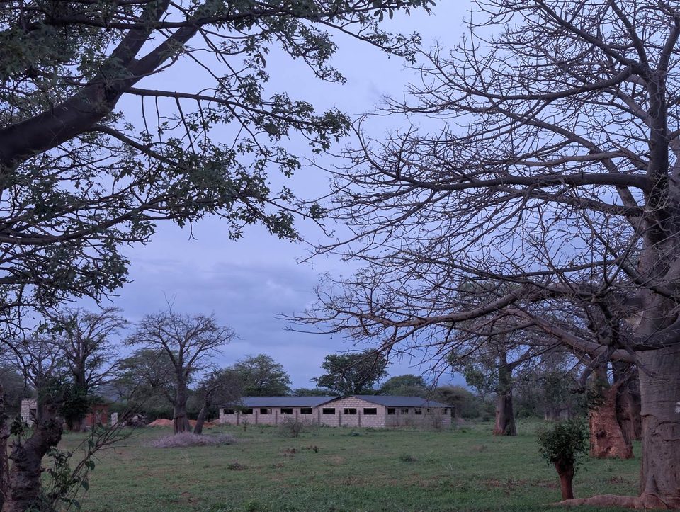 The farm's houses under a wide evening sky