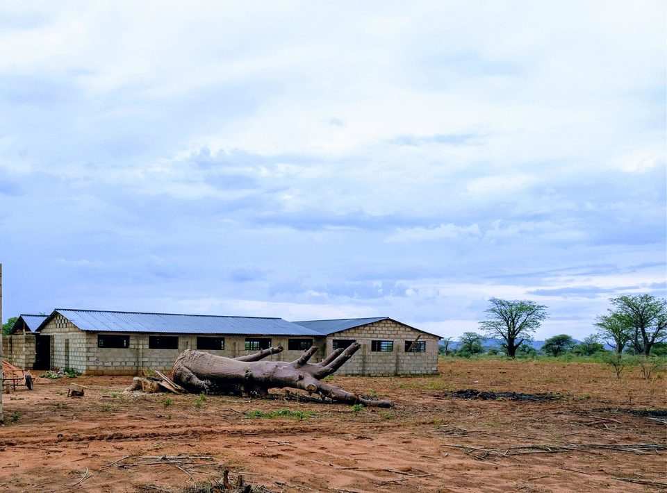 The new piggery houses during construction